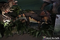 VBS_0900 - Dinosauri. Terra dei giganti